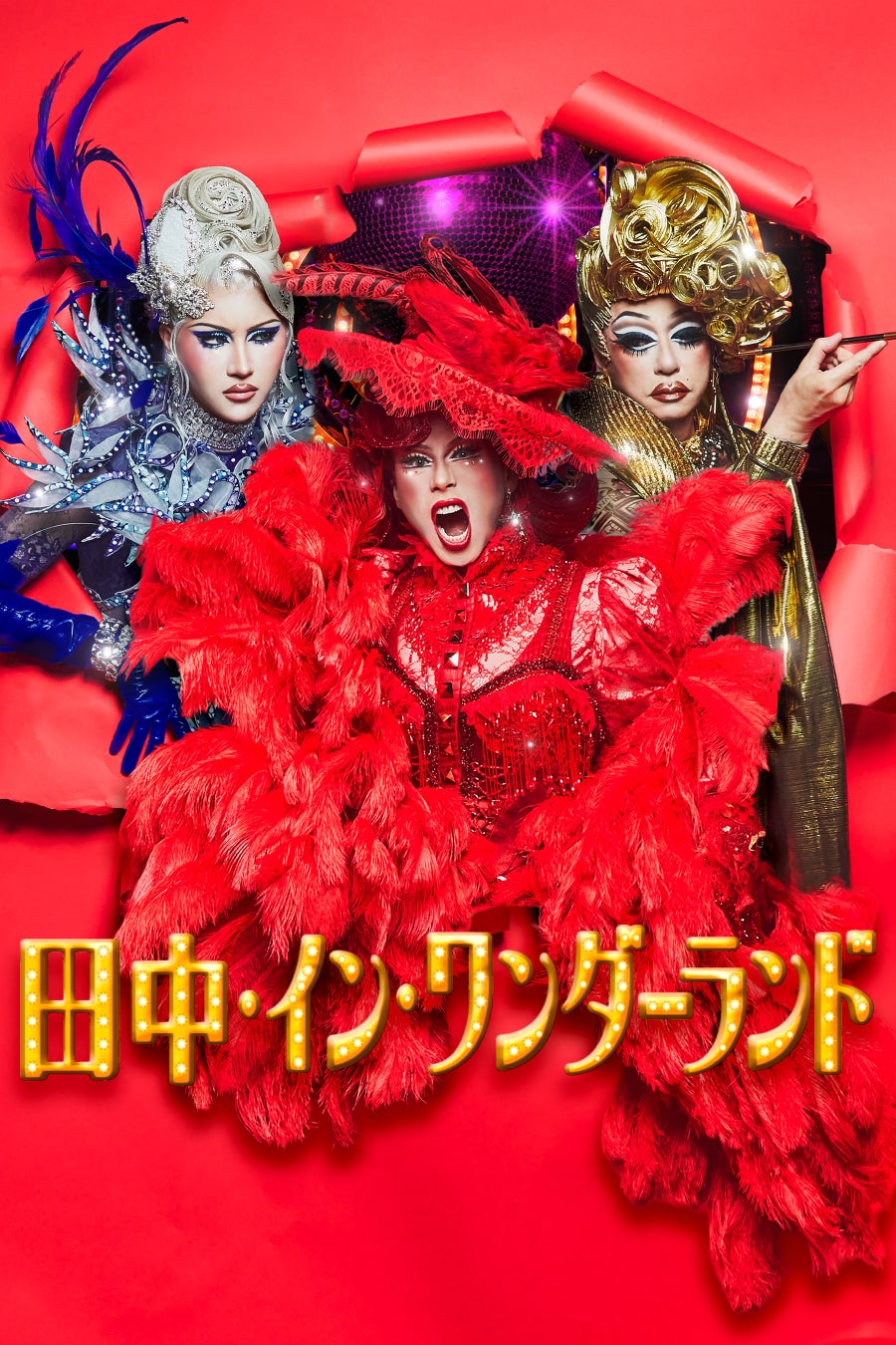 田中・イン・ワンダーランドの公式メインビジュアル